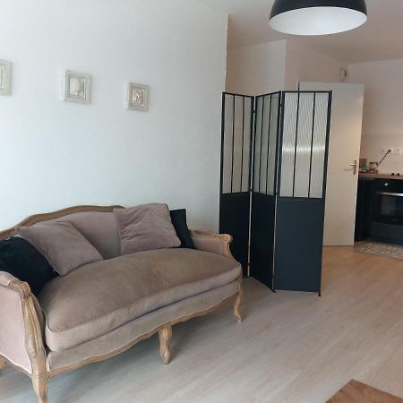 בלגארד סור-ואלסרין Le Savoie Appartement 2 Chambres 3 Couchages ,Balcon Et Parking Prive מראה חיצוני תמונה